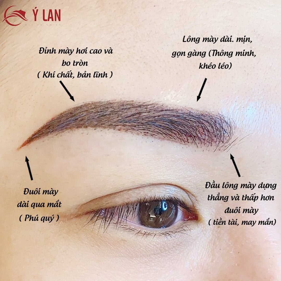 cong-nghe-phun-xam-long-may-tu-nhien1