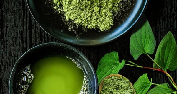 trị nám bằng rau diếp cá