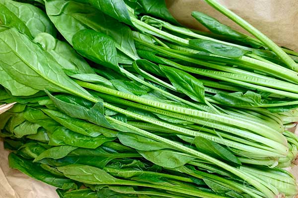 Cải bó xôi chống lão hóa da